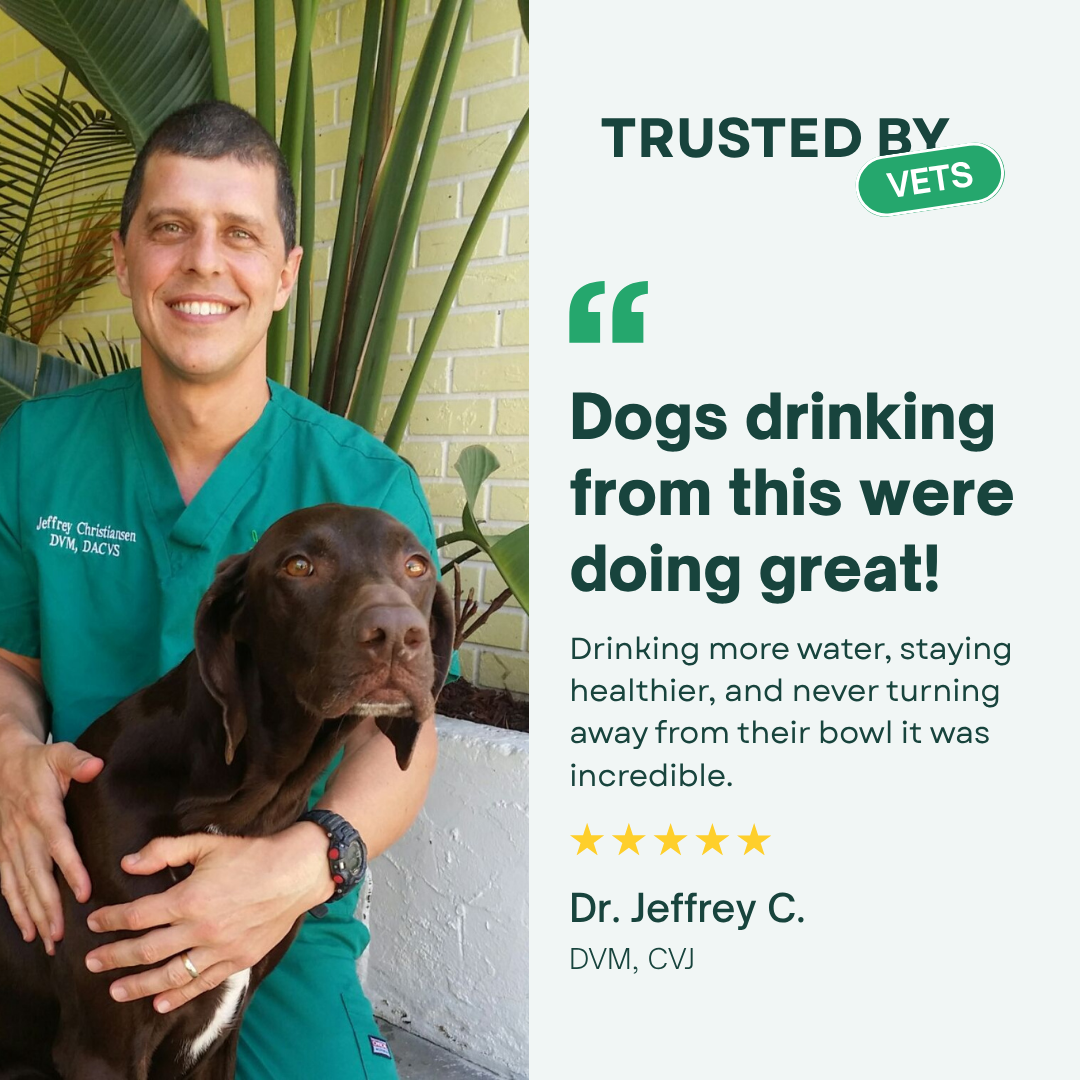 The Filtered Dog Fountain