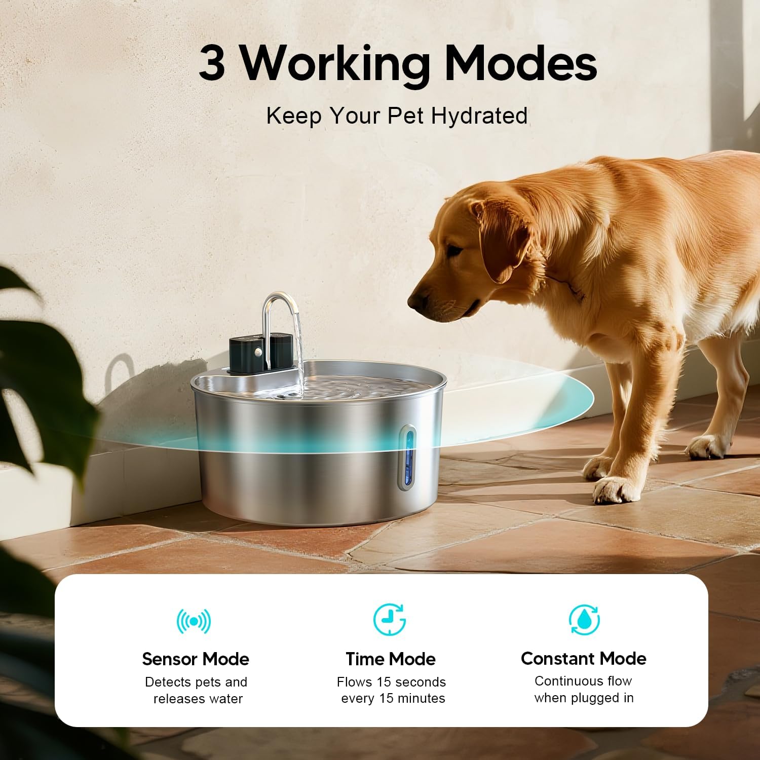 The Filtered Dog Fountain