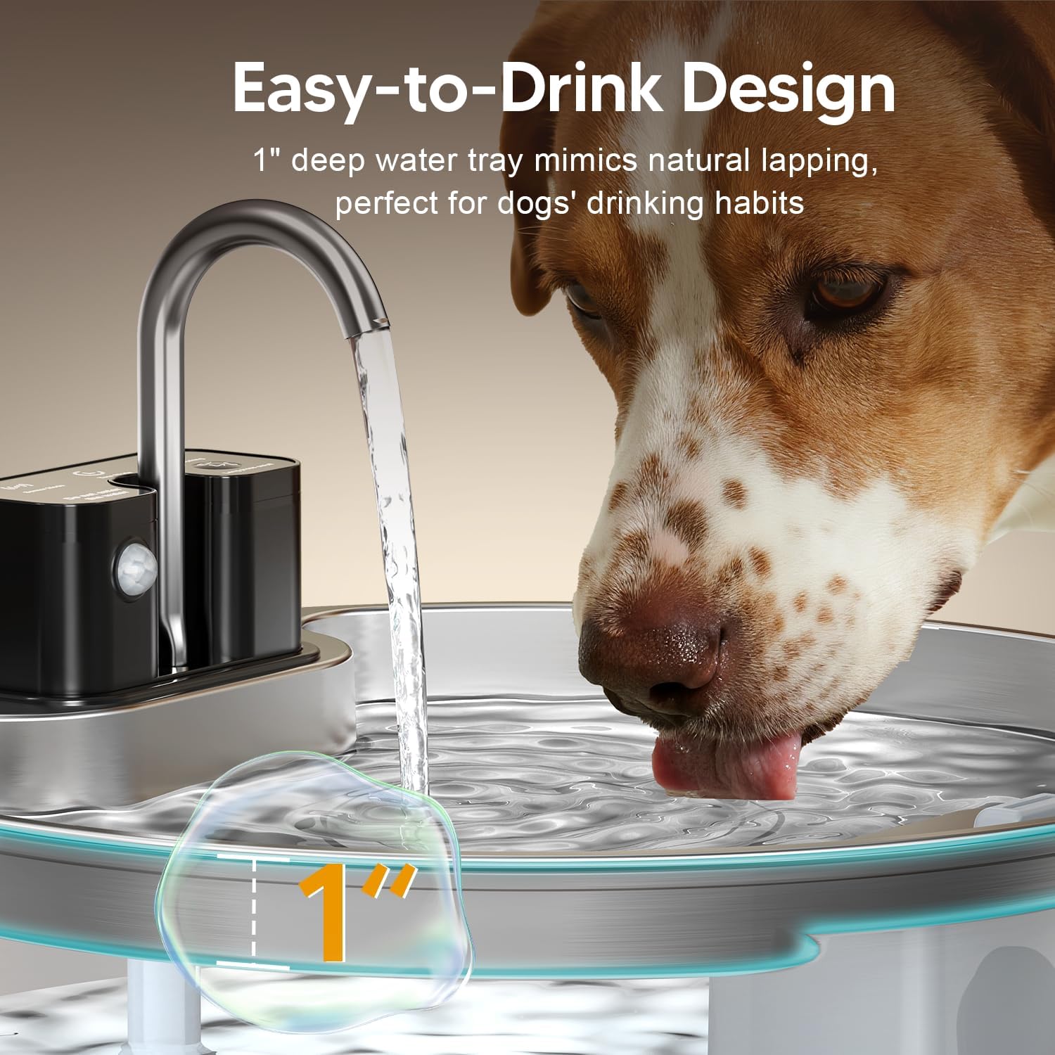 The Filtered Dog Fountain
