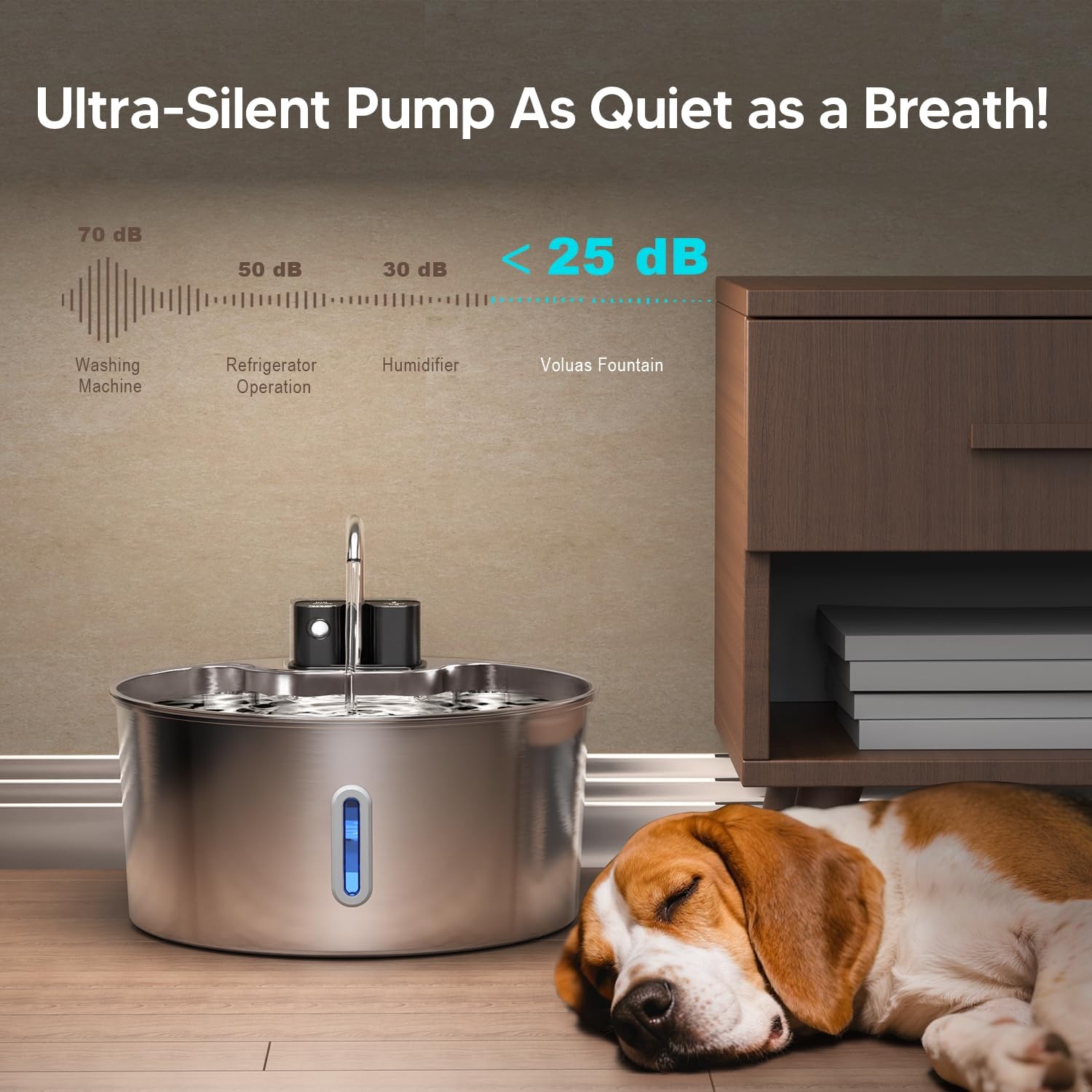 The Filtered Dog Fountain